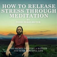 how to release stress through meditation book